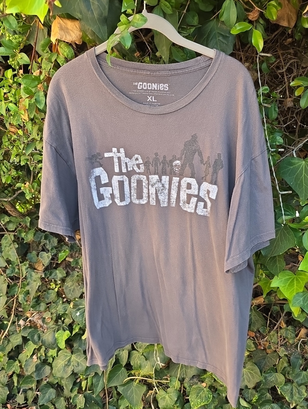 The Goonies Men's Short Sleeve Graphic Tee - Gray, XL